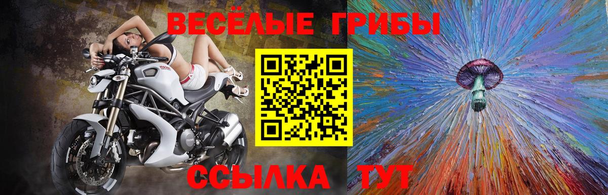 цены наркотик  Вход с VPN  Десногорск  Псилоцибиновые грибы мицелий 