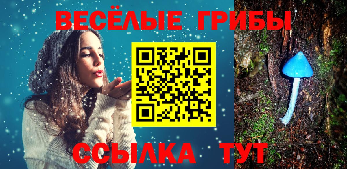 Галлюциногенные грибы мухоморы Десногорск